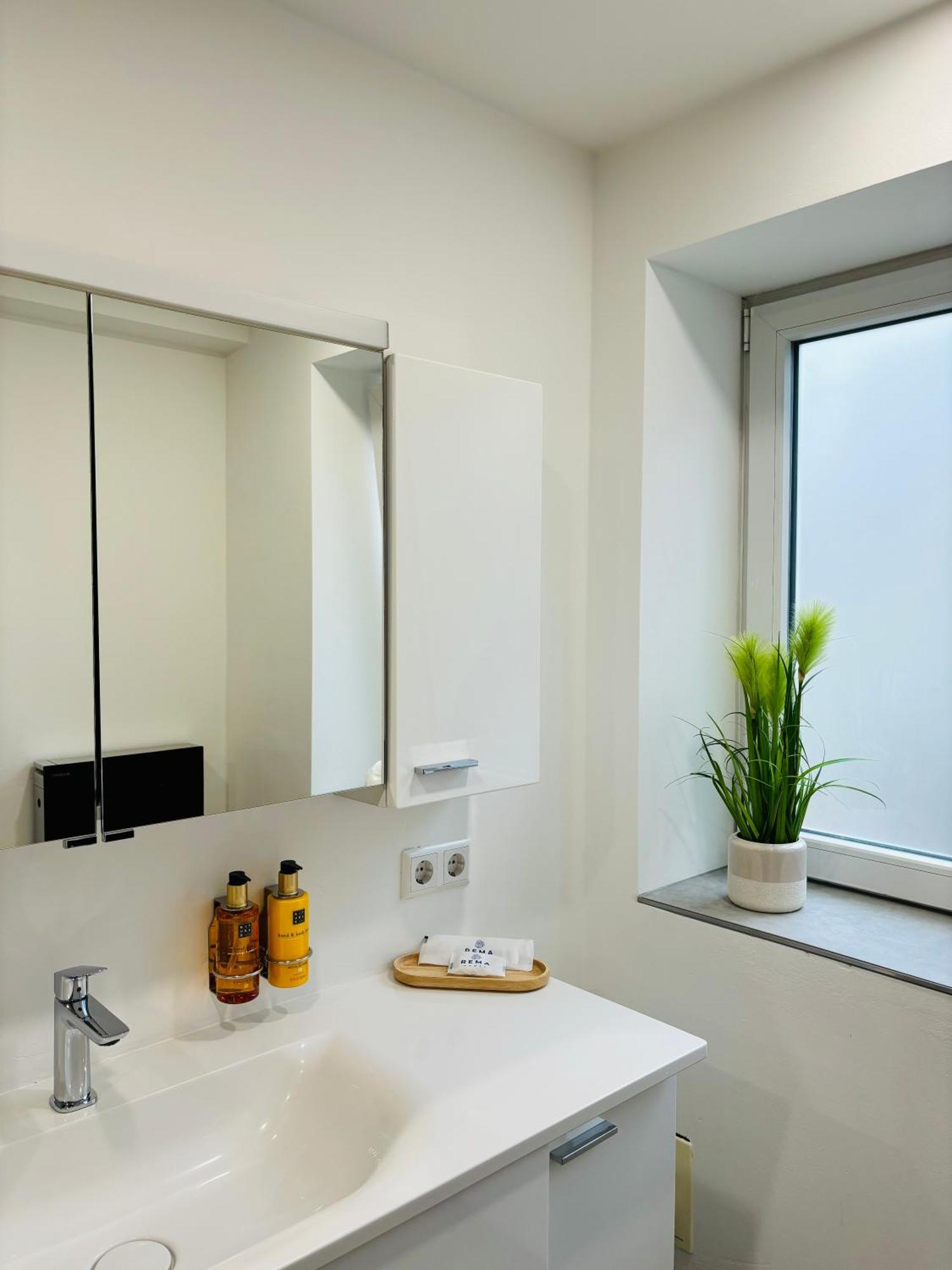 Appartamento Jacuzzi Terrasse 55' Tv Kueche Regendusche Bad Bellingen Esterno foto